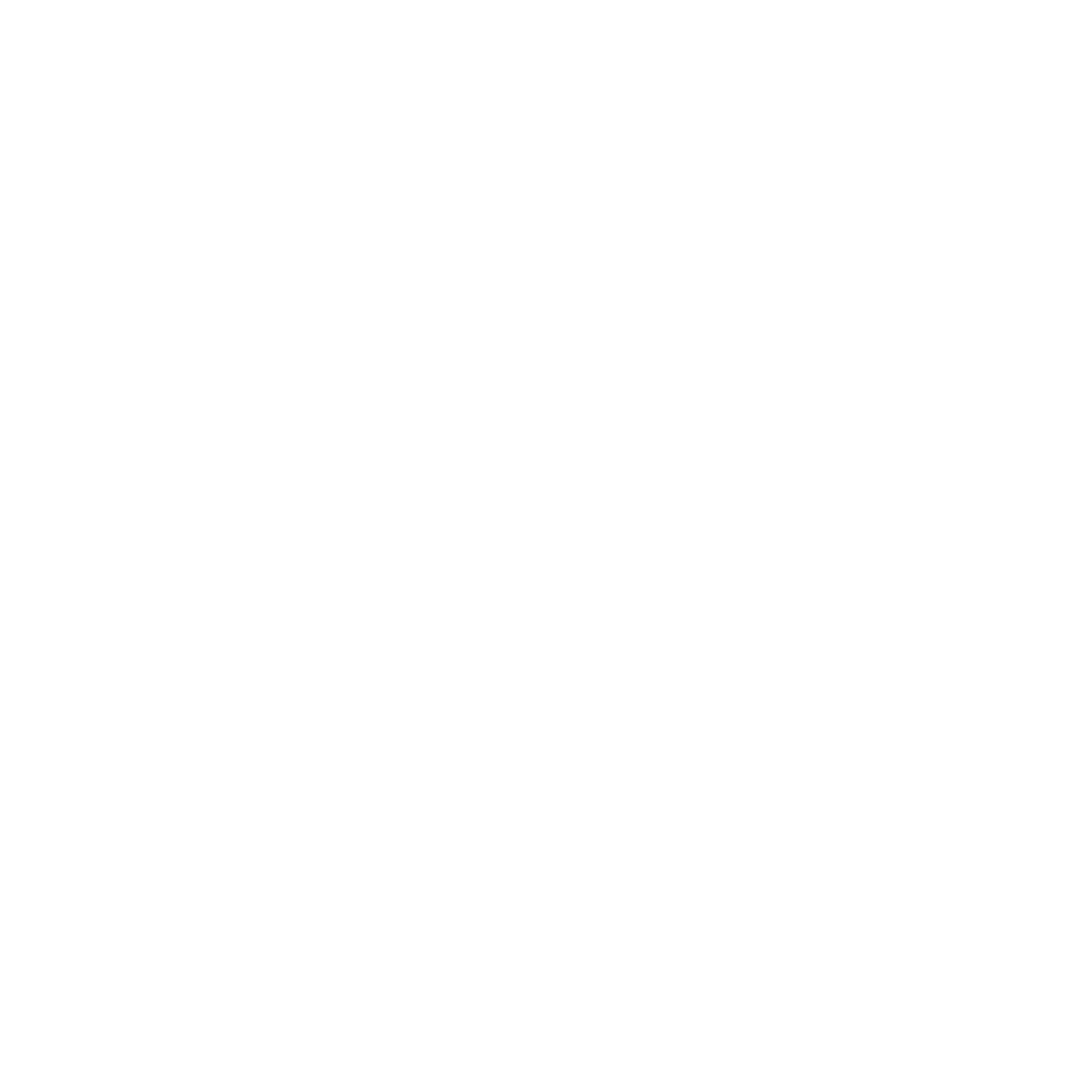 Project Manager